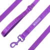 Frenchie Comfort Leash - LA Purple -Bandana Buddy Shop Orchidproduct148