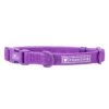 Frenchie Comfort Collar - LA Purple