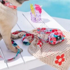 Frenchie Poo Bag Holder - Paradise -Bandana Buddy Shop Paradise 14