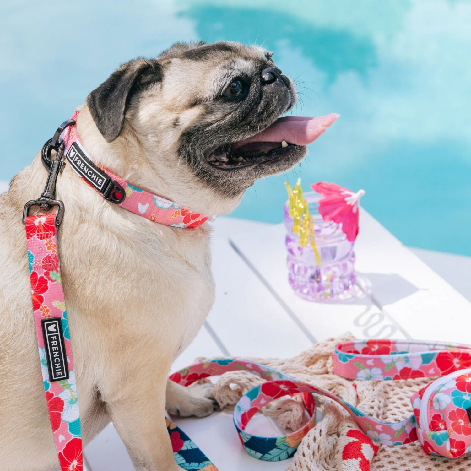 Frenchie Comfort Collar - Paradise 6 Frenchie Comfort Collar - Paradise - Image 4