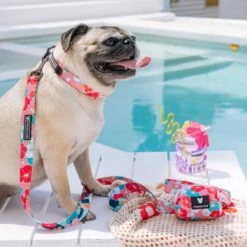 Frenchie Comfort Collar - Paradise 8 Frenchie Comfort Collar - Paradise -Bandana Buddy Shop Paradise 16