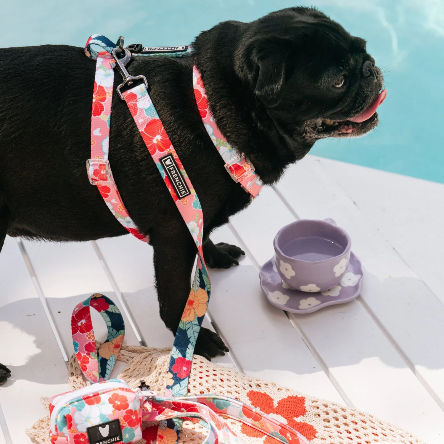 Frenchie Strap Harness - Paradise 5 Frenchie Strap Harness - Paradise - Image 3