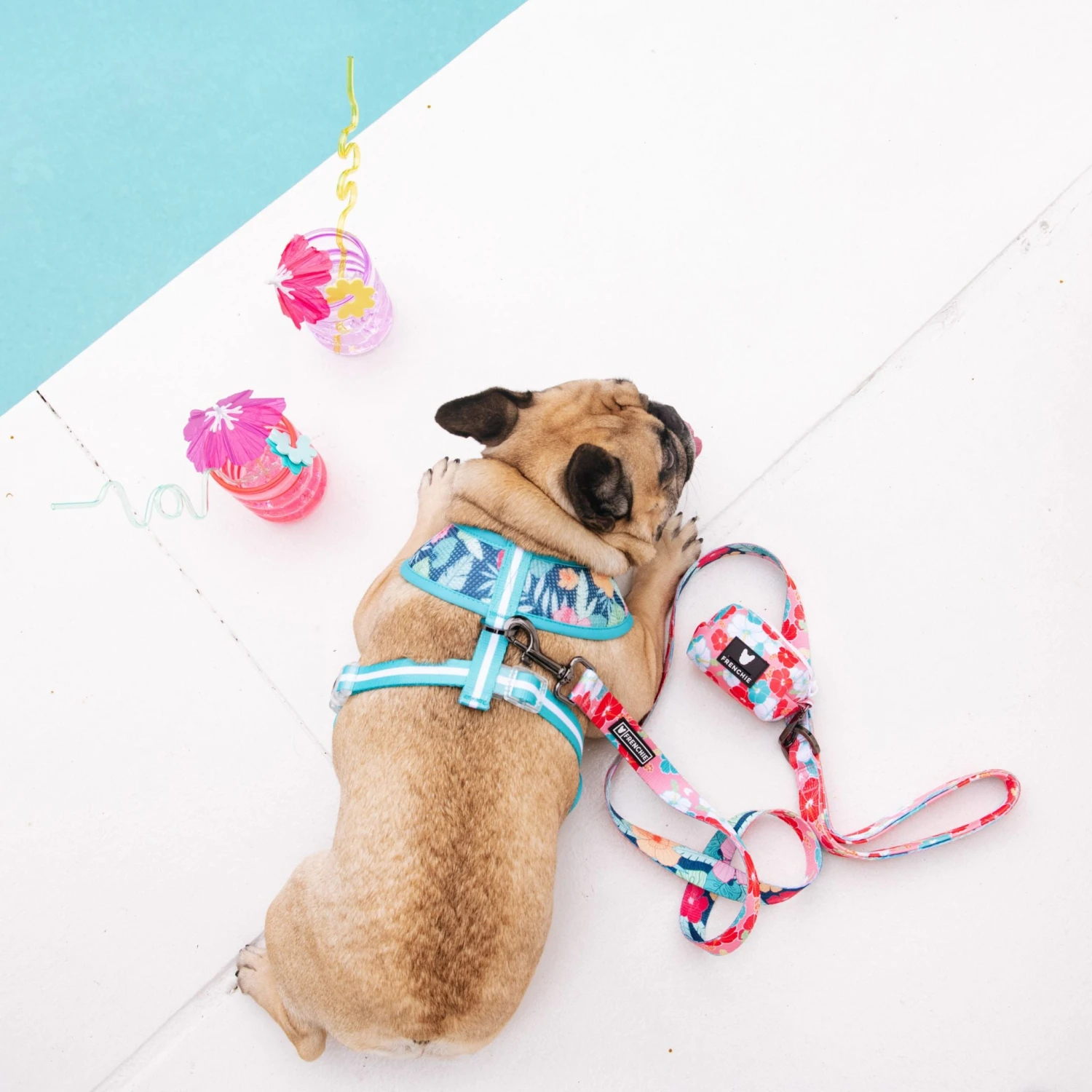 Frenchie Comfort Leash - Paradise 11 Frenchie Comfort Leash - Paradise - Image 9