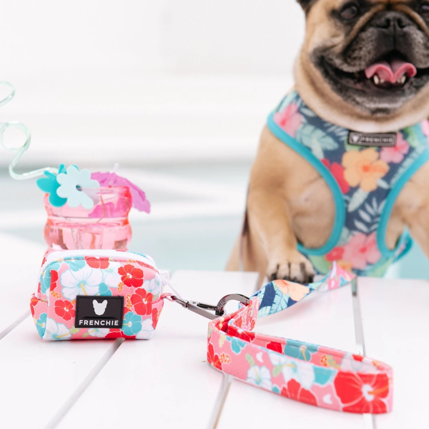 Frenchie Comfort Leash - Paradise 9 Frenchie Comfort Leash - Paradise - Image 7