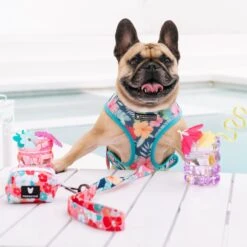 Frenchie Duo Reversible Harness - Paradise -Bandana Buddy Shop Paradise 6