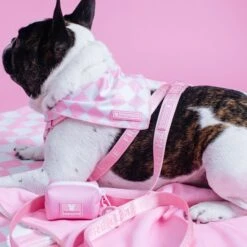 Frenchie Poo Bag Holder - Pink Bubblegum -Bandana Buddy Shop PinkBubbleGum 19 1 3205c835 729f 4531 8992 cb793c7da9bf