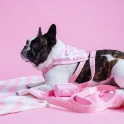 Frenchie Cooling Bandana - Pink Bubblegum Checkered -Bandana Buddy Shop PinkBubbleGum 20 fc29148c fb20 4fc3 aa1a b1b12f19ce36