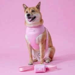 Frenchie Poo Bag Holder - Pink Bubblegum -Bandana Buddy Shop PinkBubbleGum 5 d79288b8 e5e9 4bfe 800f 409d8c227ba6