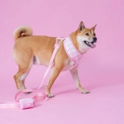 Frenchie Duo Reversible Harness - Pink Bubblegum -Bandana Buddy Shop PinkBubbleGum 7