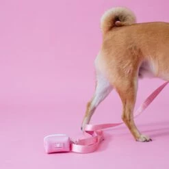 Frenchie Poo Bag Holder - Pink Bubblegum -Bandana Buddy Shop PinkBubbleGum 8