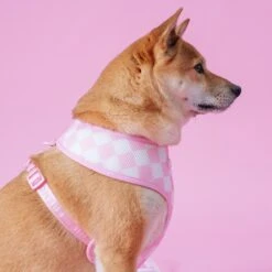 Frenchie Duo Reversible Harness - Pink Bubblegum -Bandana Buddy Shop PinkBubbleGum 9