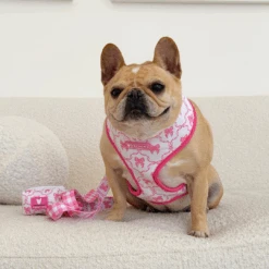 Frenchie Duo Reversible Harness - Pink Bows -Bandana Buddy Shop Pink Bows 1
