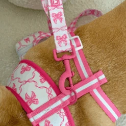 Frenchie Duo Reversible Harness - Pink Bows -Bandana Buddy Shop Pink Bows 2