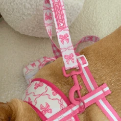 Frenchie Comfort Leash - Pink Bows -Bandana Buddy Shop Pink Bows 3