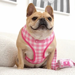 Frenchie Poo Bag Holder - Pink Bows -Bandana Buddy Shop Pink Bows 4 9e0a8a84 dd50 4f0e 9e2e 0f73d0de683e
