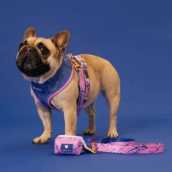 Frenchie Comfort Leash - Pink Marble 9 Frenchie Comfort Leash - Pink Marble -Bandana Buddy Shop Pink Marble 12 a6da85c8 8f25 432c baab e8b003cd8faa