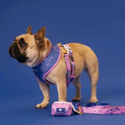 Frenchie Poo Bag Holder - Pink Marble -Bandana Buddy Shop Pink Marble 14