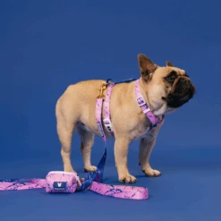 Frenchie Comfort Leash - Pink Marble 10 Frenchie Comfort Leash - Pink Marble -Bandana Buddy Shop Pink Marble 16 f0ea3885 d6ef 44ac b563 3c37f3bfc189