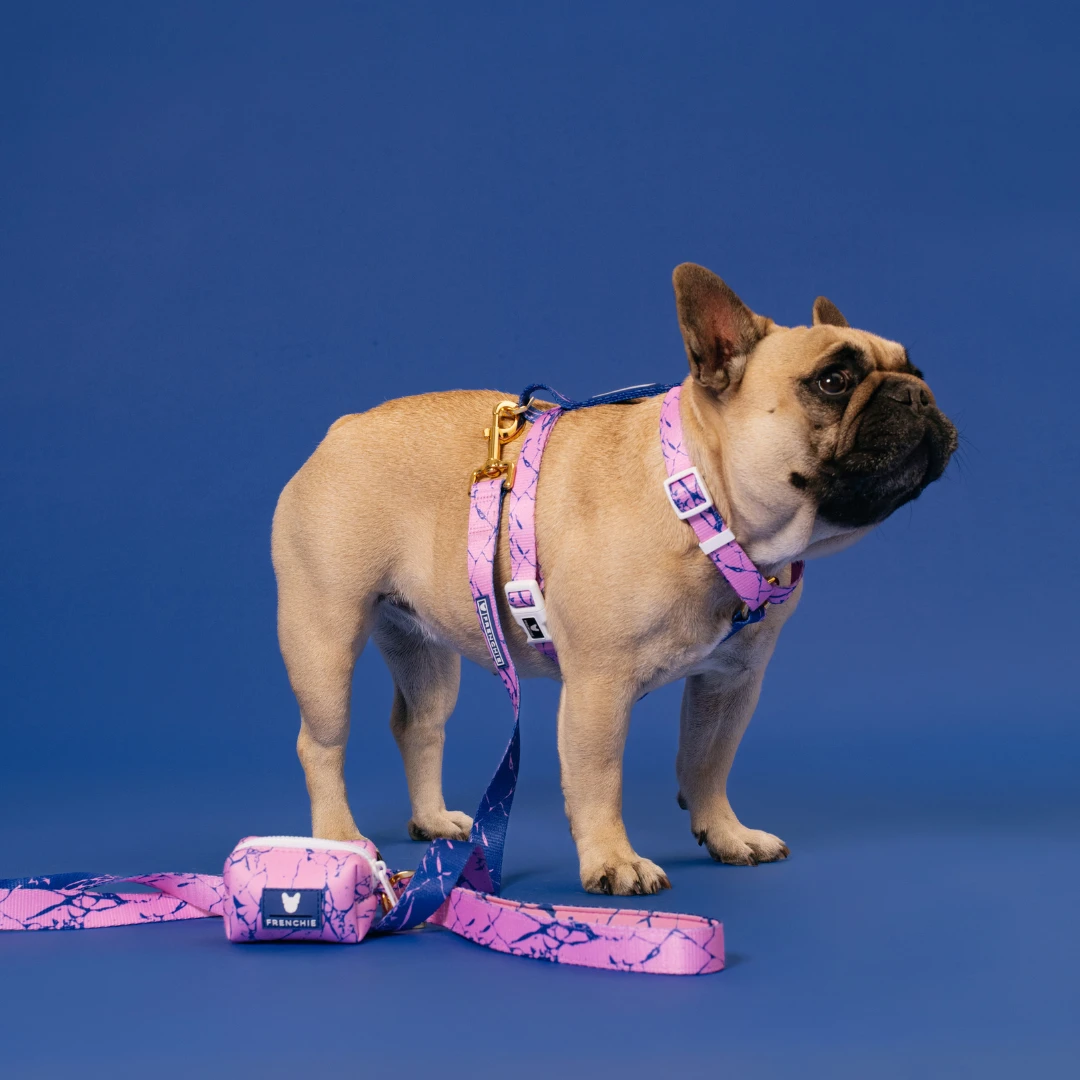 Frenchie Comfort Leash - Pink Marble 6 Frenchie Comfort Leash - Pink Marble - Image 4