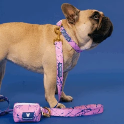 Frenchie Comfort Collar - Pink Marble -Bandana Buddy Shop Pink Marble 23 31a5da6b 37e7 431a 8726 e28df82eabac