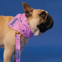 Frenchie Cooling Bandana - Pink Marble -Bandana Buddy Shop Pink Marble 27