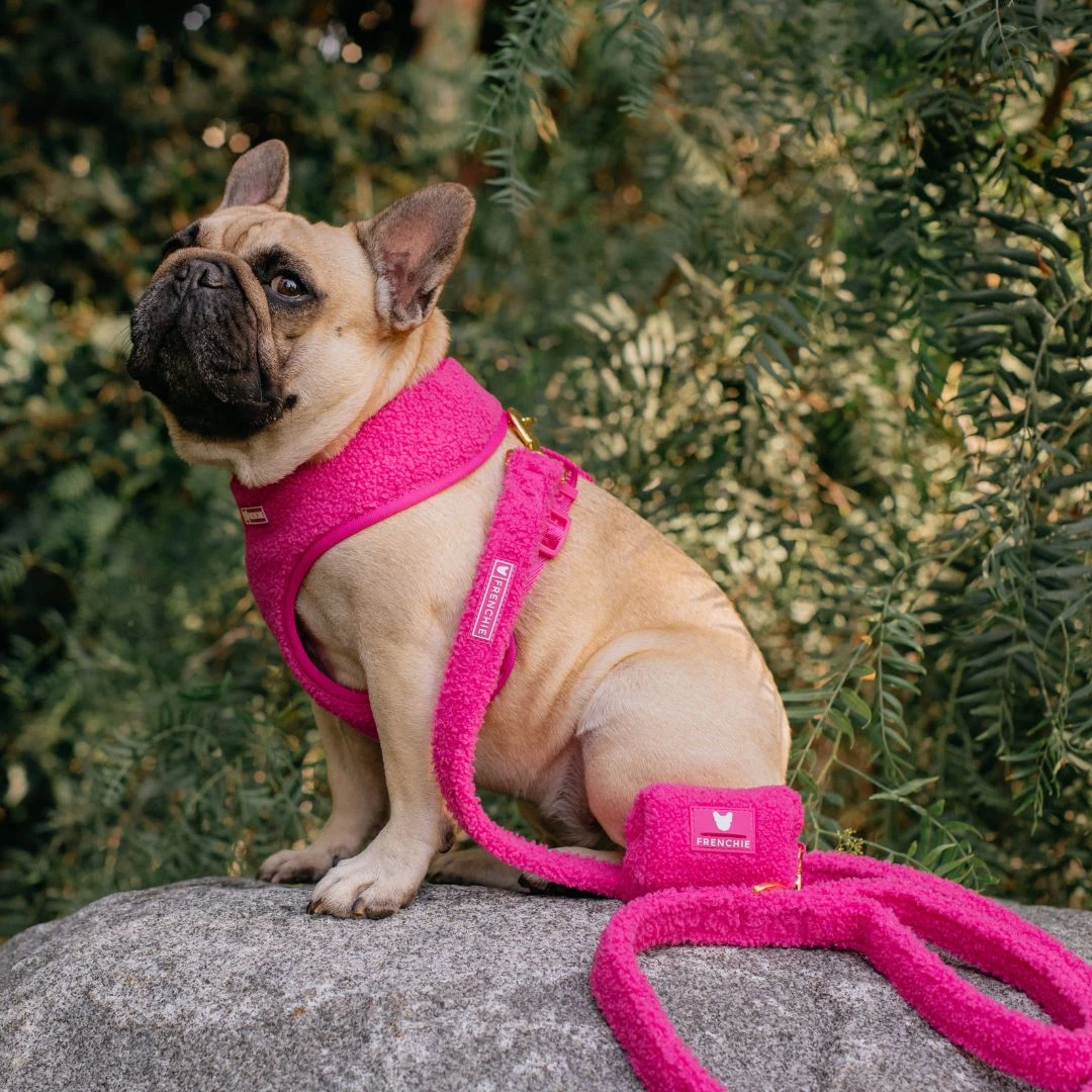 Frenchie Comfort Leash - Teddy Hot Pink 4 Frenchie Comfort Leash - Teddy Hot Pink - Image 2