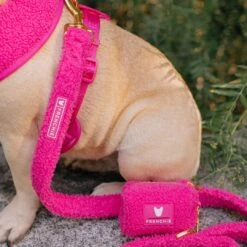 Frenchie Comfort Leash - Teddy Hot Pink 13 Frenchie Comfort Leash - Teddy Hot Pink -Bandana Buddy Shop TEDDY HOT PINK 13
