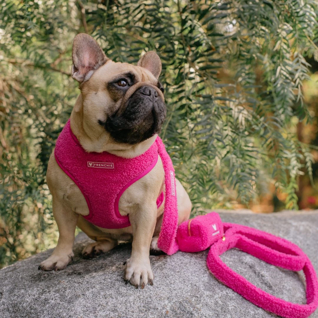 Frenchie Comfort Leash - Teddy Hot Pink 7 Frenchie Comfort Leash - Teddy Hot Pink - Image 5