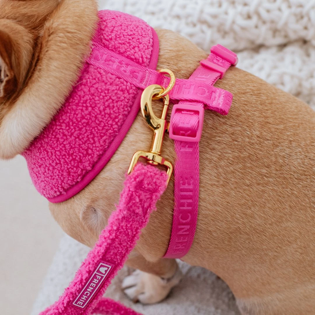 Frenchie Comfort Leash - Teddy Hot Pink 10 Frenchie Comfort Leash - Teddy Hot Pink - Image 8
