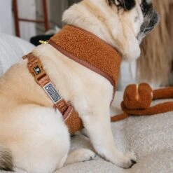 Frenchie Duo Reversible Harness - Teddy Brown -Bandana Buddy Shop Teddy Brown 1