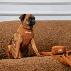 Frenchie Duo Reversible Harness - Teddy Brown -Bandana Buddy Shop Teddy Brown 11 1