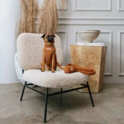 Frenchie Duo Reversible Harness - Teddy Brown -Bandana Buddy Shop Teddy Brown 12