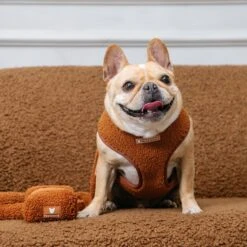 Frenchie Poo Bag Holder - Teddy Brown -Bandana Buddy Shop Teddy Brown 20 05dc7e69 bf72 405a b880 35bde217099c