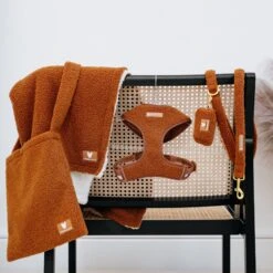 Frenchie Comfort Leash - Teddy Brown -Bandana Buddy Shop Teddy Brown 31 b79b81db 034b 4aae a42f f898322c6ef2