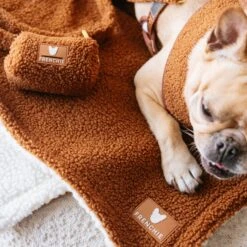 Frenchie Poo Bag Holder - Teddy Brown -Bandana Buddy Shop Teddy Brown 5 53664f79 3792 47b6 8f4f d16e1df1fe77