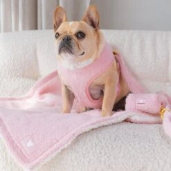 Frenchie Duo Reversible Harness - Teddy Pink 24 Frenchie Duo Reversible Harness - Teddy Pink -Bandana Buddy Shop Teddy Pink 10 0d65f774 1027 42fa bb37 ff22fa37974f