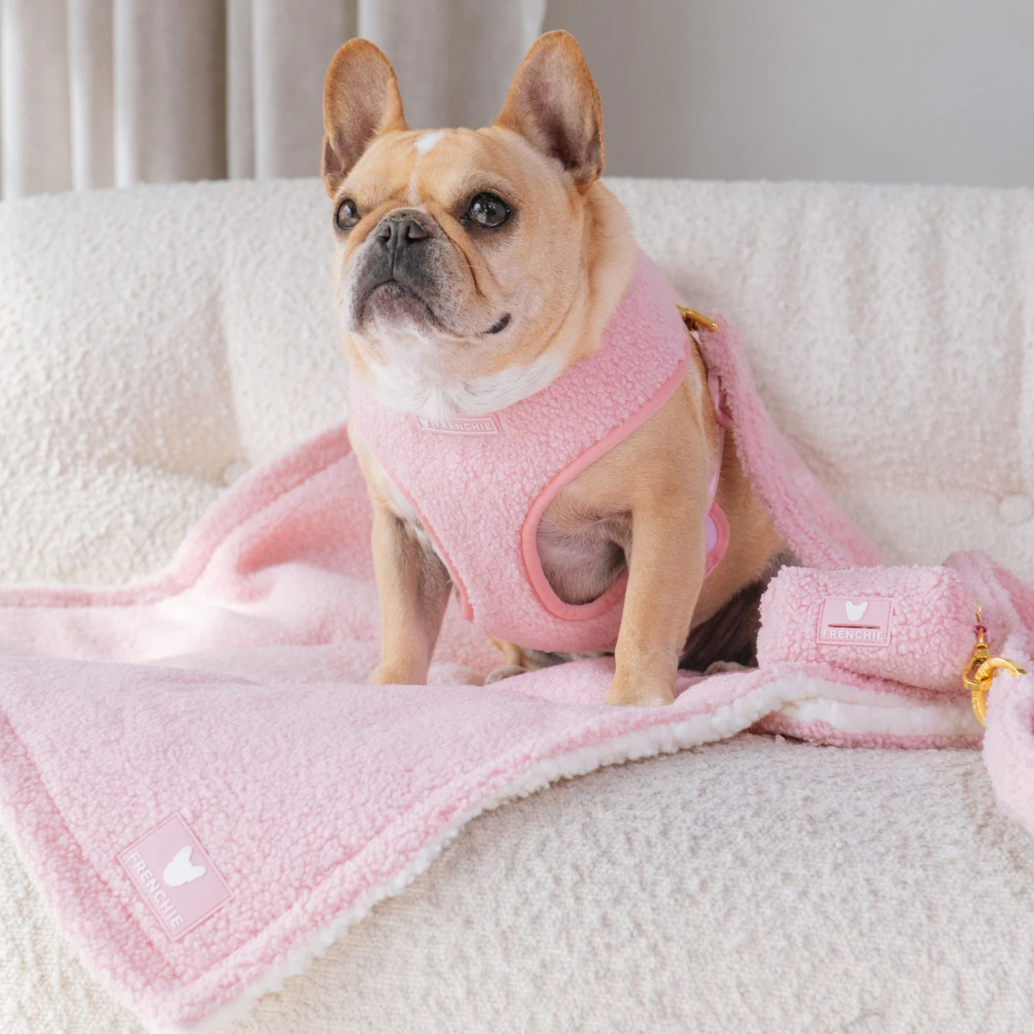 Frenchie Duo Reversible Harness - Teddy Pink 11 Frenchie Duo Reversible Harness - Teddy Pink - Image 9