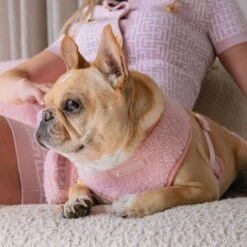 Frenchie Duo Reversible Harness - Teddy Pink 25 Frenchie Duo Reversible Harness - Teddy Pink -Bandana Buddy Shop Teddy Pink 11