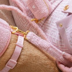 Frenchie Comfort Leash - Teddy Pink -Bandana Buddy Shop Teddy Pink 15