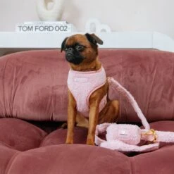 Frenchie Duo Reversible Harness - Teddy Pink 18 Frenchie Duo Reversible Harness - Teddy Pink -Bandana Buddy Shop Teddy Pink 26