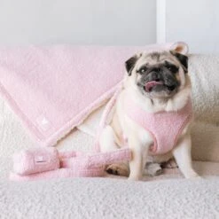 Frenchie Duo Reversible Harness - Teddy Pink 28 Frenchie Duo Reversible Harness - Teddy Pink -Bandana Buddy Shop Teddy Pink 29 31dc0bb5 1fb0 49a1 bf56 8c00b3bd0b61