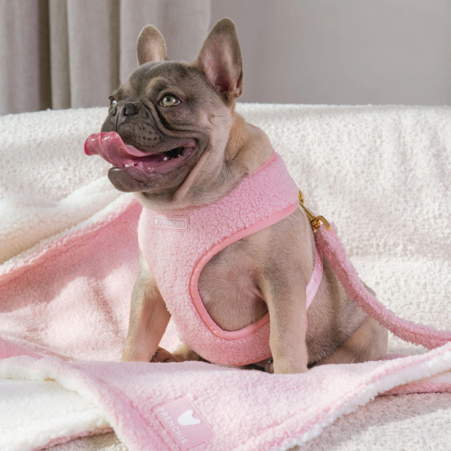 Frenchie Duo Reversible Harness - Teddy Pink 4 Frenchie Duo Reversible Harness - Teddy Pink - Image 2