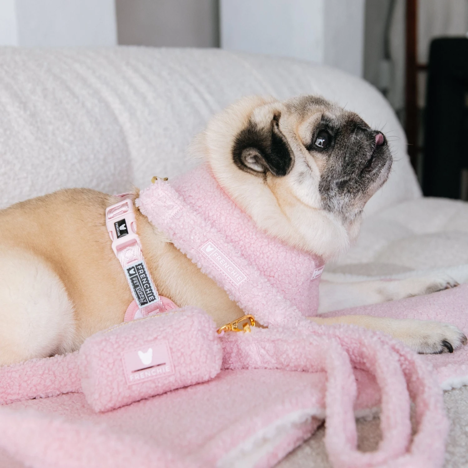 Frenchie Duo Reversible Harness - Teddy Pink 16 Frenchie Duo Reversible Harness - Teddy Pink - Image 14