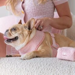 Frenchie Duo Reversible Harness - Teddy Pink 19 Frenchie Duo Reversible Harness - Teddy Pink -Bandana Buddy Shop Teddy Pink 4