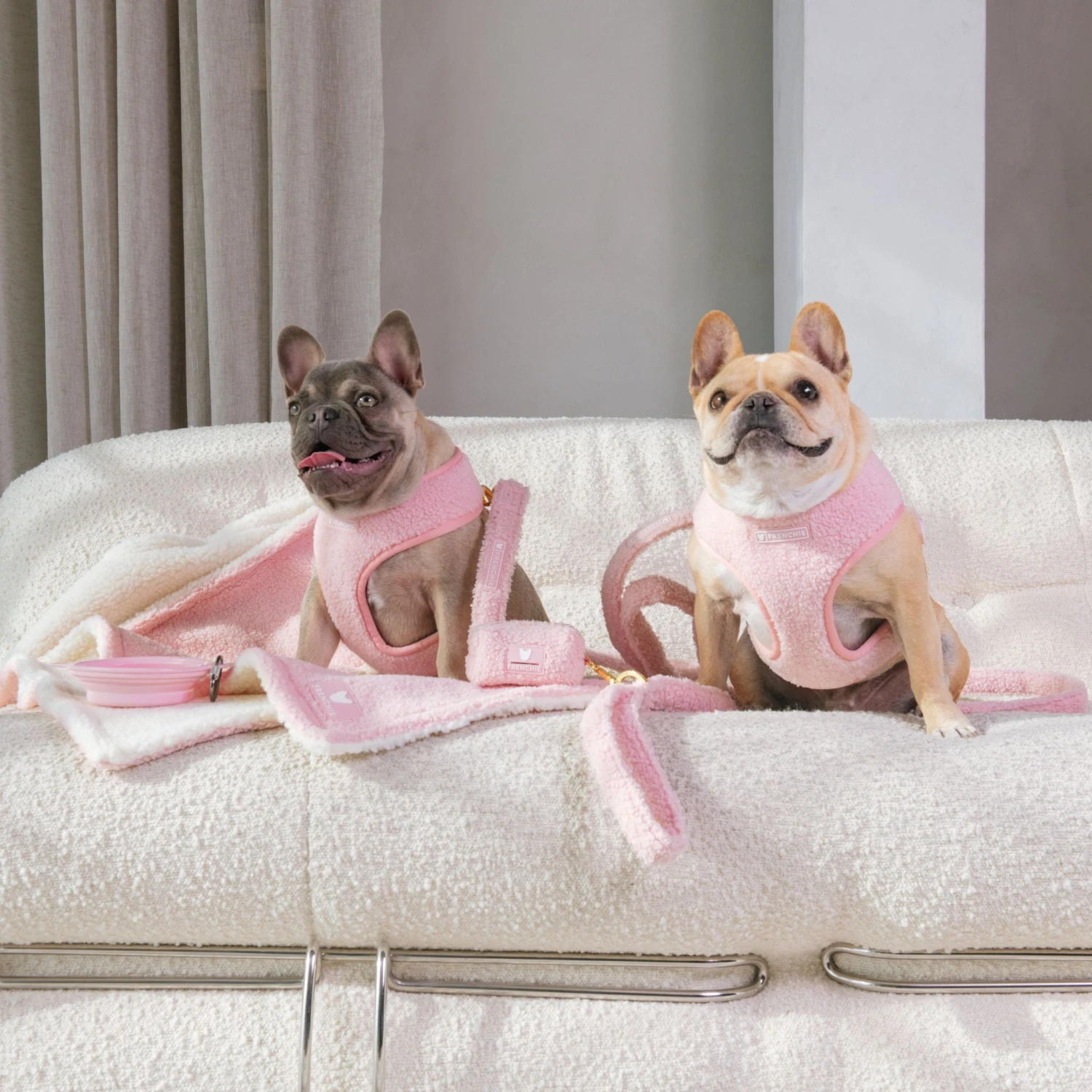 Frenchie Duo Reversible Harness - Teddy Pink 10 Frenchie Duo Reversible Harness - Teddy Pink - Image 8