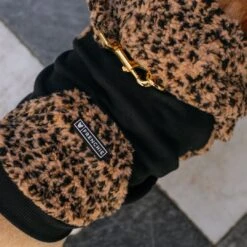 Frenchie Dog Hoodie - Teddy Leopard -Bandana Buddy Shop Teddy Leopard 14