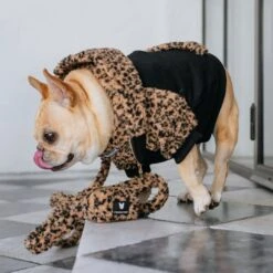 Frenchie Dog Hoodie - Teddy Leopard -Bandana Buddy Shop Teddy Leopard 16