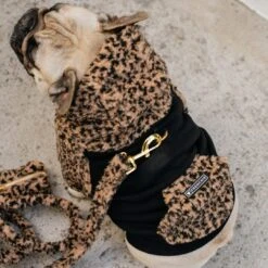 Frenchie Dog Hoodie - Teddy Leopard -Bandana Buddy Shop Teddy Leopard 25