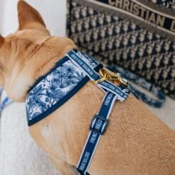 Frenchie Duo Reversible Harness - Toile- Blue -Bandana Buddy Shop Toile Blue 3