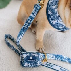 Frenchie Comfort Leash - Toile- Blue -Bandana Buddy Shop Toile Blue 4